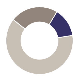 analisis de precio y surtido